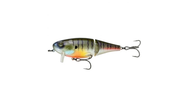 6th Sense Speed Wake - SW100-BGA