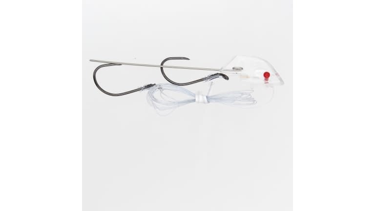 Trinidad Anchovy Heads - Rigged - #6456-CLEAR