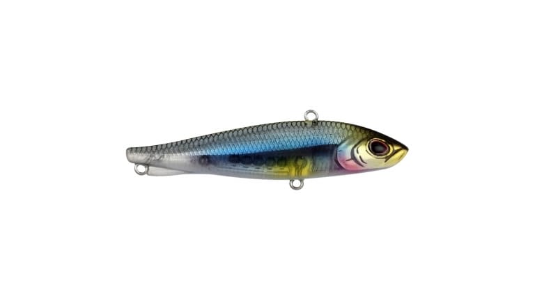 Berkley Ripfish - MNWA