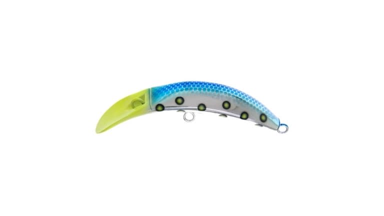 Brad's KillerFish - 025