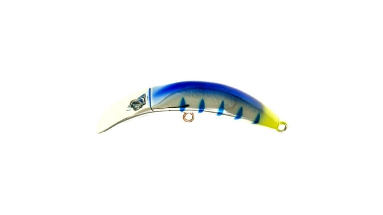 Brad's KillerFish - 063