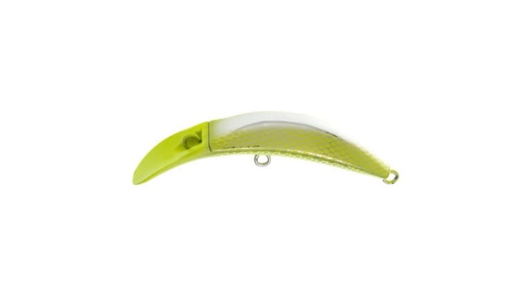 Brad's KillerFish - 068