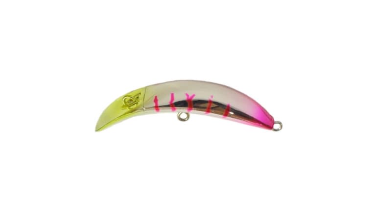 Brad's KillerFish - 079
