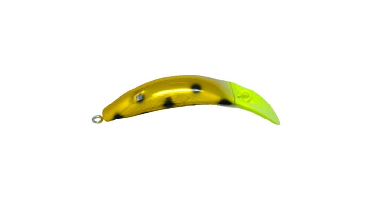 Brad's KillerFish - 107