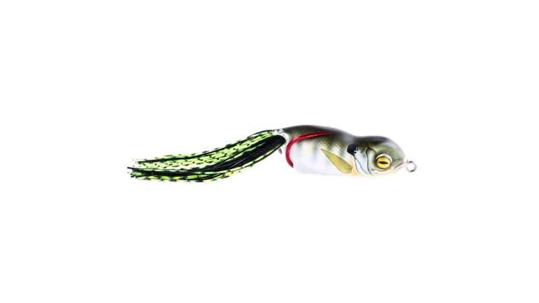 Scum Frog Launch Frogs - L-2341