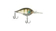 Berkley Dime Crankbaits - GHGIL10 - Thumbnail