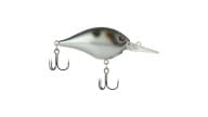 Berkley Dime Crankbaits - PXDSH6 - Thumbnail