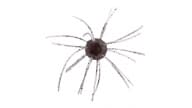 Strike King Tumbleweed Floating - 527 - Thumbnail