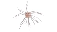 Strike King Tumbleweed Salted - 551 - Thumbnail