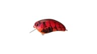 Ima Square Bill Crankbait - 121 - Thumbnail