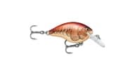 Rapala DT Series Crankbait - MULE - Thumbnail