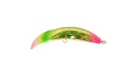Brad's KillerFish - 510 - Thumbnail